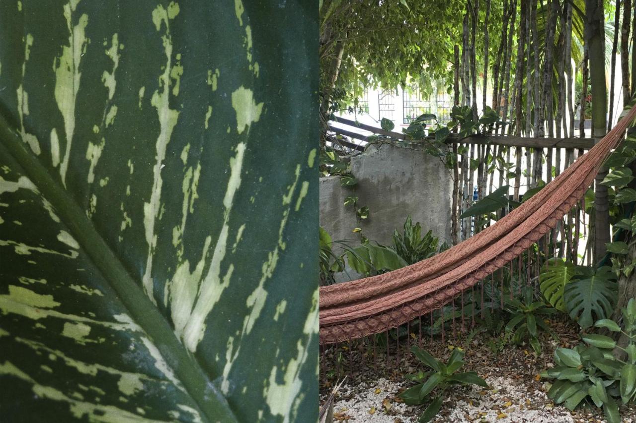 Wabi Sabi Garden Guesthouse By Amara Concepts. Tulum Exterior foto